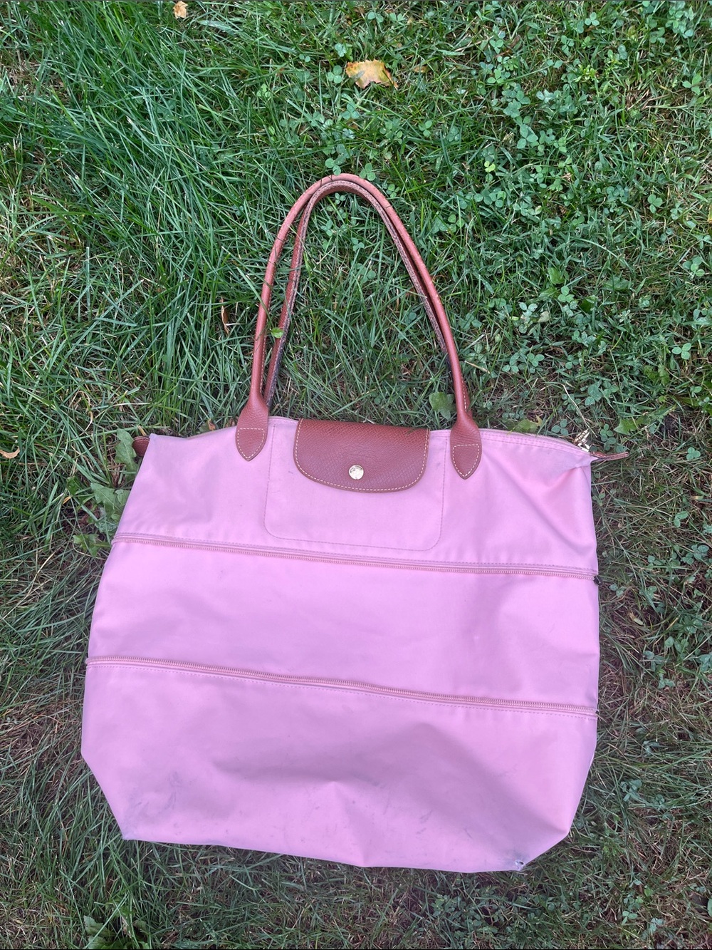 Longchamp Pink Tote Bag with Brown Trim - Women Bags